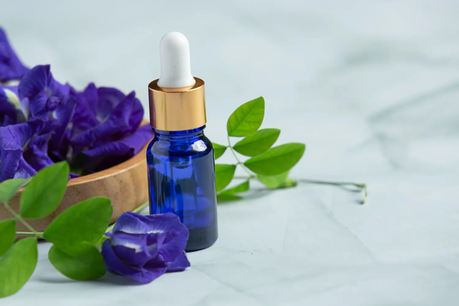فواید و کاربردهای روغن گل گاوزبان